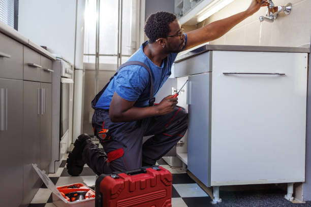 Best Commercial Plumbing Services  in Bellevue, NE